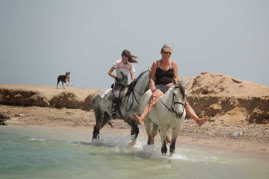 Horse & Camel Riding